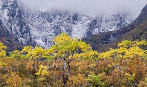 2014 Lofoten